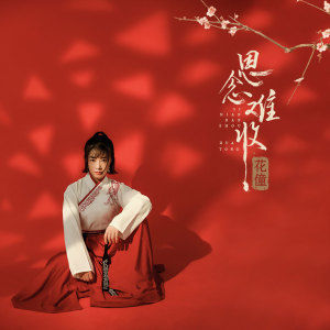 Listen to 思念难收 (伴奏) song with lyrics from 花僮