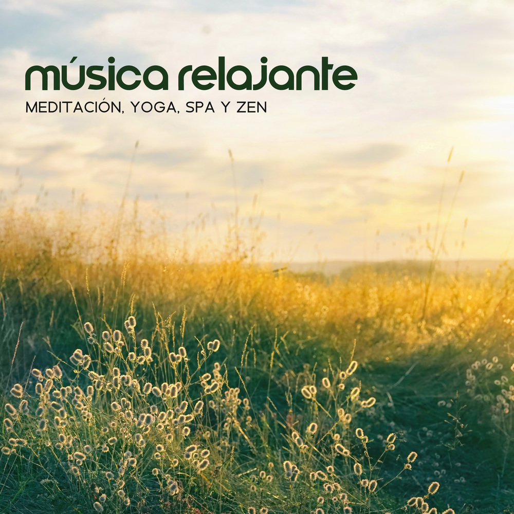 Ambiente