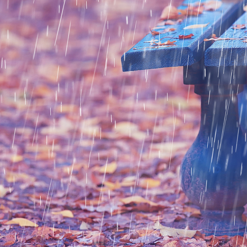 Radiant Peaceful Rainful Theta Waves, Inner