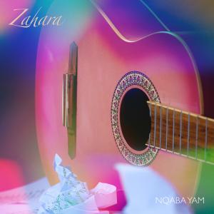 Album Nqaba Yam from Zahara