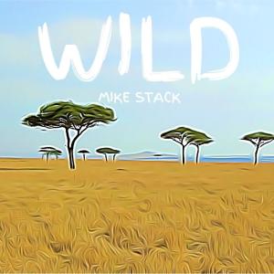 Listen to WILD (Explicit) song with lyrics from Mike Stack