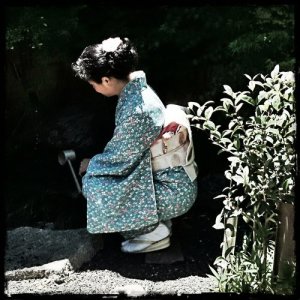 ดาวน์โหลดและฟังเพลง Sakura (Cherry Blossom) พร้อมเนื้อเพลงจาก Natsuko Mineghishi