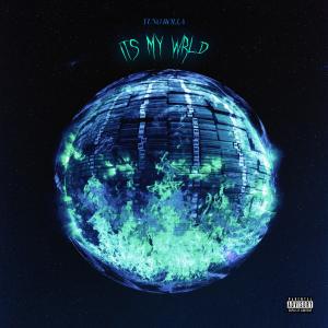Listen to It's My Wrld (Explicit) song with lyrics from Yung Rolla