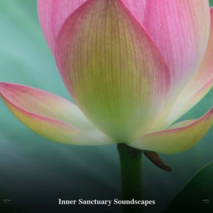 Album !!!!" Inner Sanctuary Soundscapes "!!!! from Between Waves
