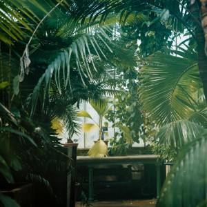 ดาวน์โหลดและฟังเพลง Mental Well Being พร้อมเนื้อเพลงจาก Sleep Sound Library