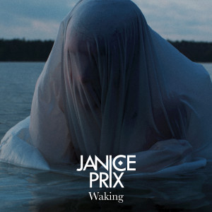 Album Waking (Radio Edit) from Janice Prix