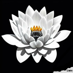 收聽CWH的Лотос歌詞歌曲