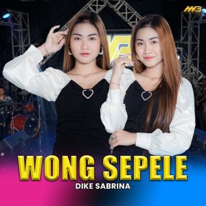 Listen to Wong Sepele song with lyrics from Dike Sabrina