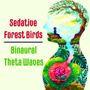 Album Sedative Forest Birds - Binaural Theta Waves from Serkan Sönmezocak