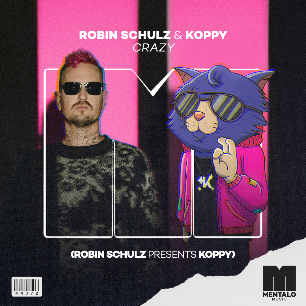 Crazy (Robin Schulz Presents KOPPY) (Extended Mix)