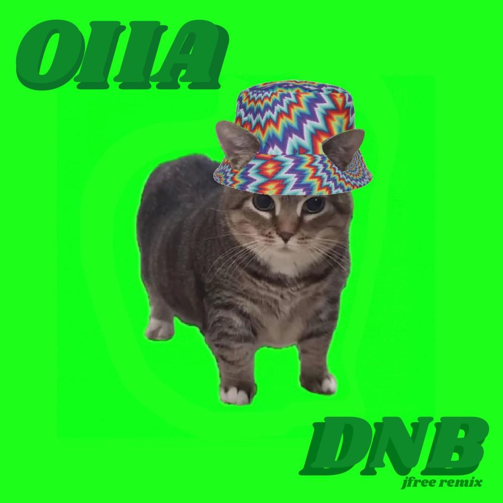 OIIA CAT dnb ver.