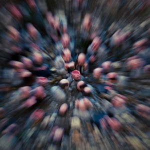 Album Gravity from Skence