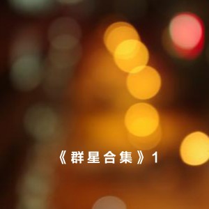 อัลบัม 群星合集1 ศิลปิน Various Artists