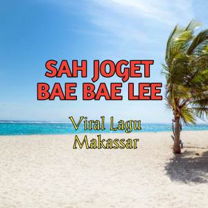 Album SAH JOGET BAE BAE LEE (Lagu Makassar Viral- FYP TikTok) oleh DJ Aya Vincenzo