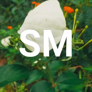 Album Jalan sunyi from SM
