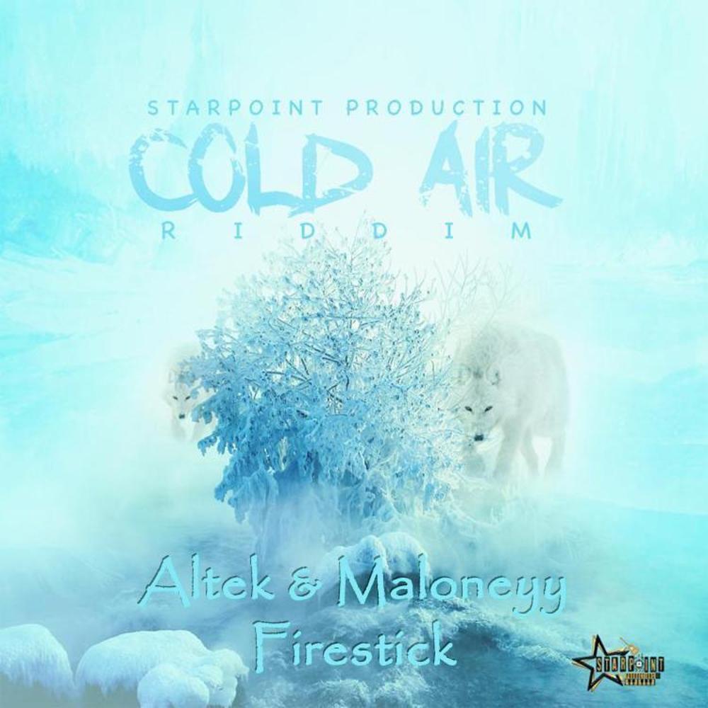 Firestick (feat. Altek) (Explicit)