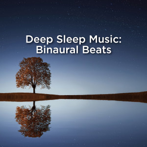 Listen to Sleep Music With White Noise song with lyrics from Deep Sleep Music Collective