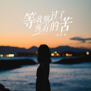 Dengarkan lagu 等我熬过了所有的苦 (DJ默涵版) nyanyian 苏谭谭 dengan lirik