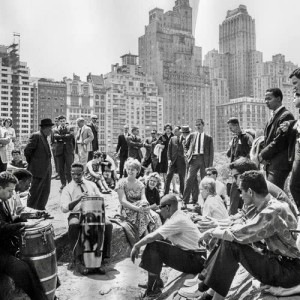 ดาวน์โหลดและฟังเพลง Christopher Columbus Digs the Jive พร้อมเนื้อเพลงจาก Various Artists