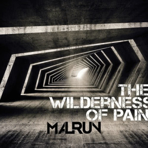 อัลบัม The Wilderness of Pain ศิลปิน Malrun