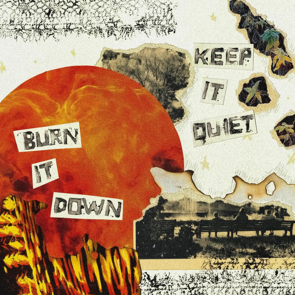 BURN IT DOWN (feat. PLANTS & LIZARDS) (Explicit)