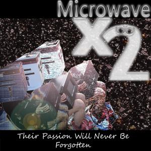 อัลบัม Microwave 10 - 2 ศิลปิน Microwave
