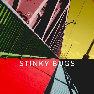 Album A boldogság és én from Stinky Bugs
