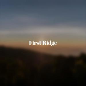 ดาวน์โหลดและฟังเพลง Ruined Whomever พร้อมเนื้อเพลงจาก Paida Tiko