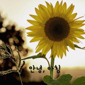 收听Sawa的안녕, 아침歌词歌曲