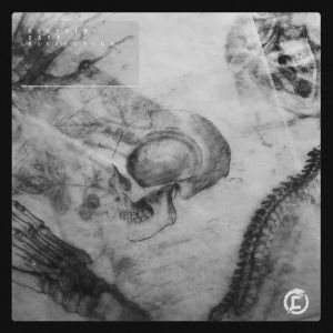 收听Beevrex的Manticore Soldiers (VIP)歌词歌曲