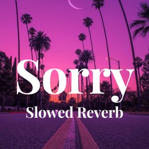 收听Jutin Biber的Sorry - Slowed Reverb歌词歌曲