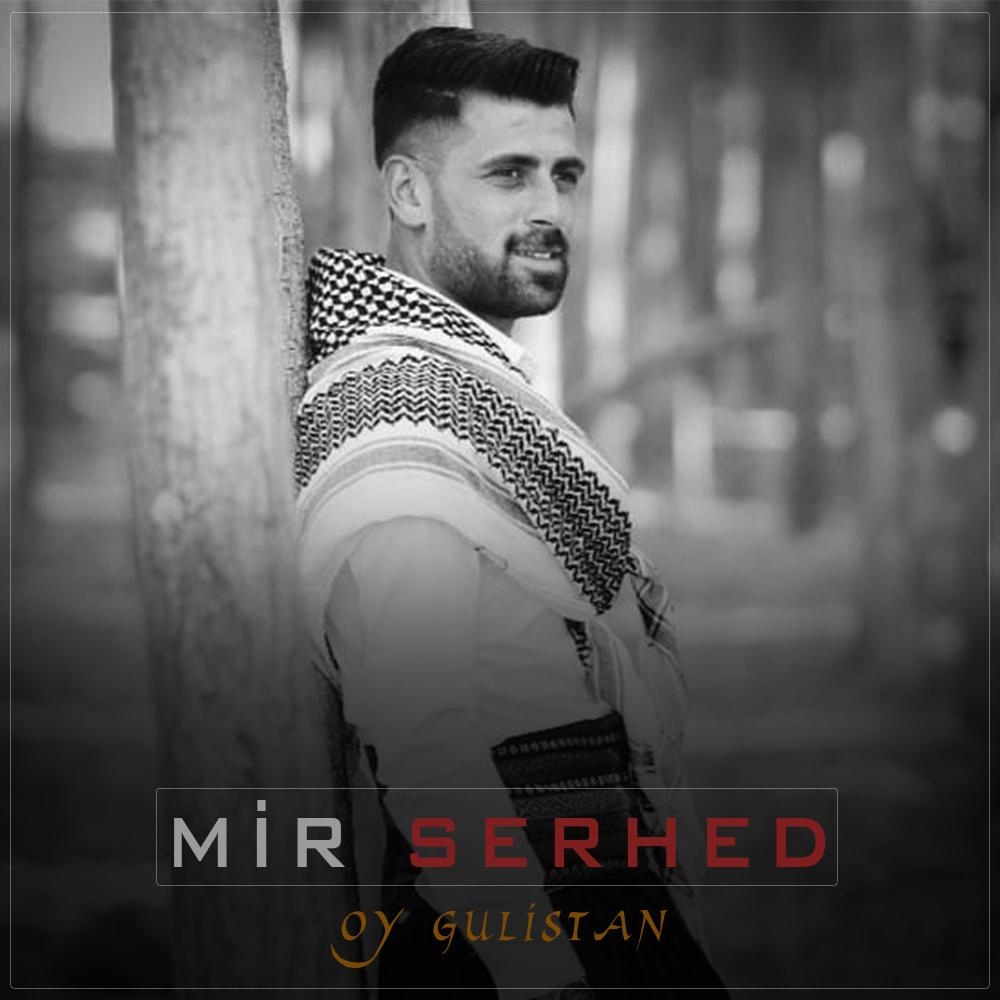 Oy Gulistan Potpori Halay (feat. MİR SERHED) (feat. MİR SERHED)