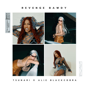 อัลบัม Revenge Bawdy (BlvkM0nd4y Remix) ศิลปิน Tsunari