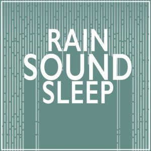 收聽Rain Sounds Sleep的Wet and Windy歌詞歌曲