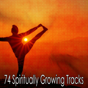 ดาวน์โหลดและฟังเพลง Thirst for Wisdom พร้อมเนื้อเพลงจาก Yoga Music