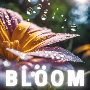 Spiritual Flower的專輯Bloom