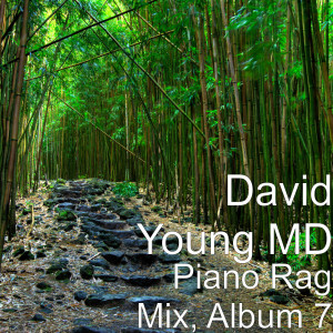 ดาวน์โหลดและฟังเพลง The Misty Mountains พร้อมเนื้อเพลงจาก David Young MD