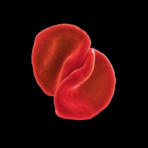 ดาวน์โหลดและฟังเพลง Heroes พร้อมเนื้อเพลงจาก Peter Gabriel