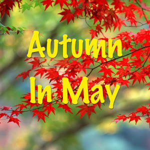 Peter的專輯Autumn To May