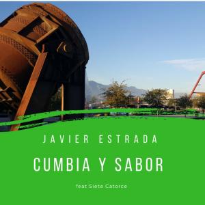 Listen to Cumbia Denstrada song with lyrics from Javier Estrada