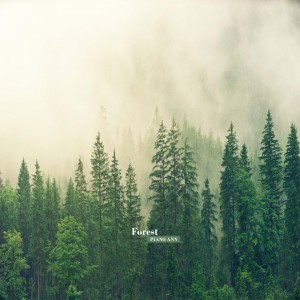 Dengarkan Forest lagu dari Piano Ann dengan lirik