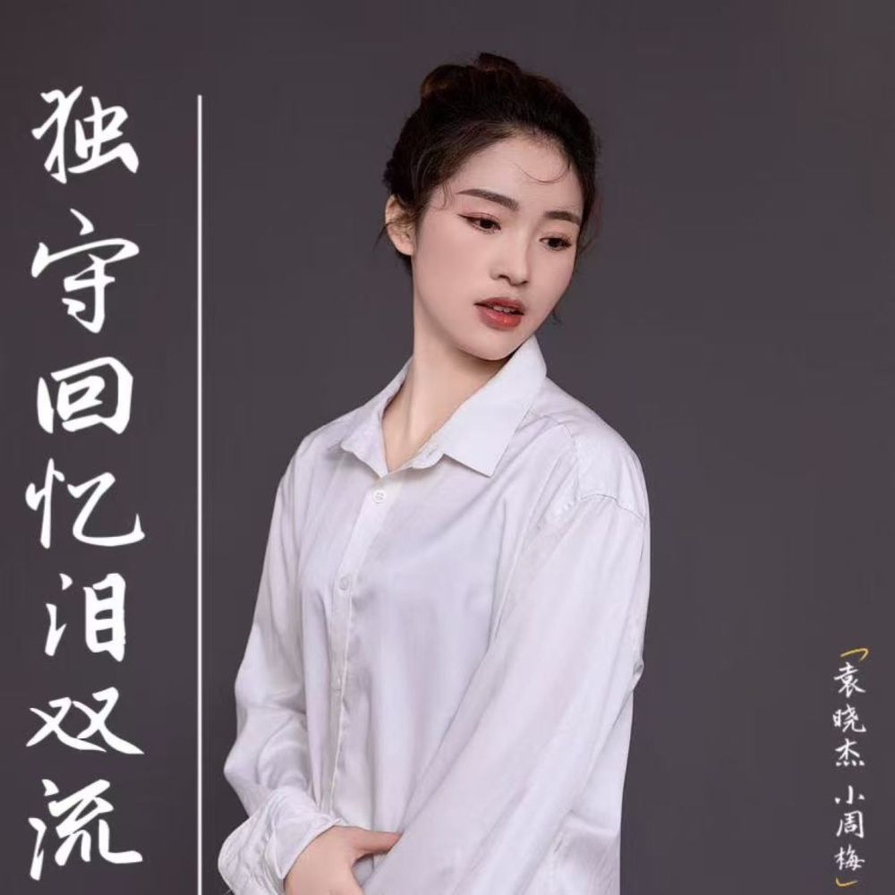 独守回忆泪双流 (伴奏)