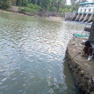 Album Kapal from Bintang