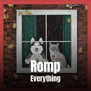 Listen to Romp Everything song with lyrics from Relie