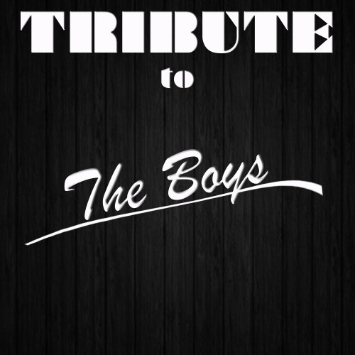 The Boys (Tribute to Nicki Minaj Feat. Cassie)