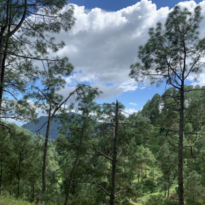 Listen to Bhimtal song with lyrics from Alboe