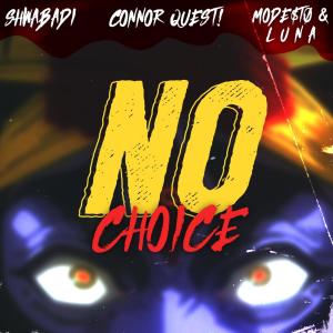 No Choice (feat. Shwabadi, Mode$t0 Beats & L U N A)