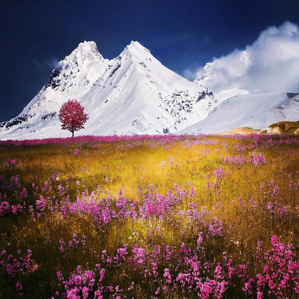 Fields of Love