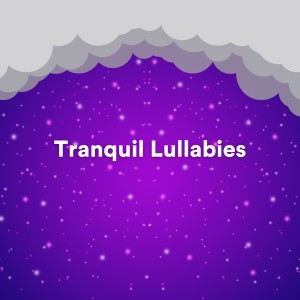 Healing Music Spirit的专辑Tranquil Lullabies