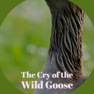 收听Clifton Parker的Main Titles & Admiral Benbow (Original Soundtrack from 'Treasure Island')歌词歌曲